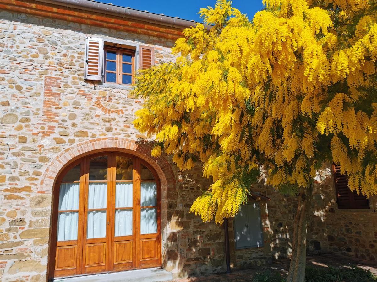 Antico Borgo Frosini Villa Arezzo Esterno foto